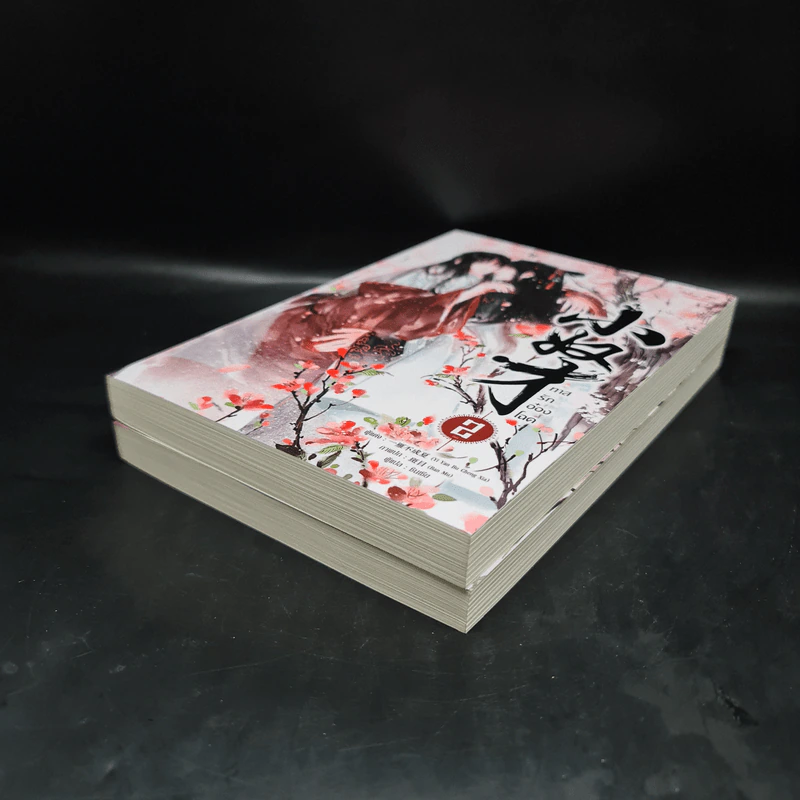 Box Set นิยายวาย ทาสรักอ๋องโฉด 2 เล่มจบ รูปที่ 7