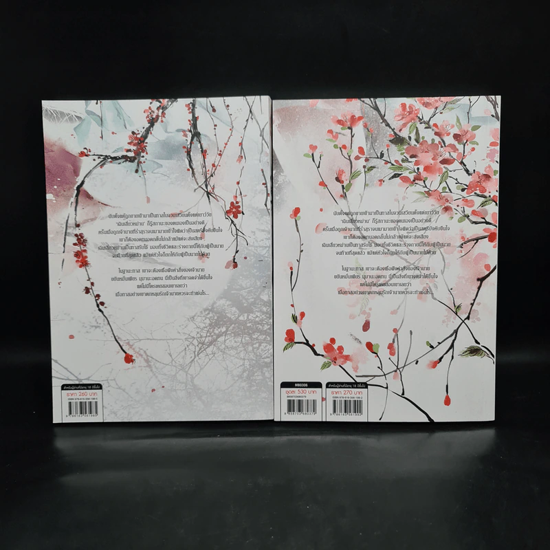 Box Set นิยายวาย ทาสรักอ๋องโฉด 2 เล่มจบ รูปที่ 5