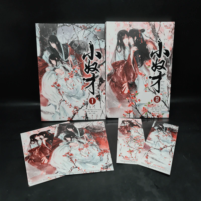 Box Set นิยายวาย ทาสรักอ๋องโฉด 2 เล่มจบ รูปที่ 4