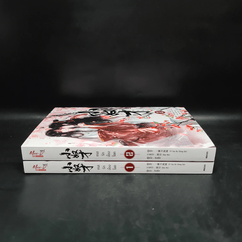Box Set นิยายวาย ทาสรักอ๋องโฉด 2 เล่มจบ รูปที่ 6
