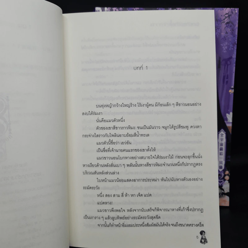นิยายวาย แมวตัวสุดท้ายในจักรวาล 2 เล่มจบ - จุ้ยหยิ่นฉางเกอ รูปที่ 7