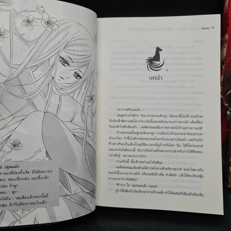 Seven Brothers นี่หรือคือน้องชายผม เล่ม 1-3 - Roon รูปที่ 6