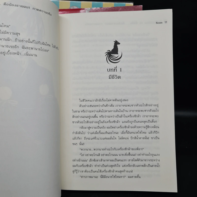 Seven Brothers นี่หรือคือน้องชายผม เล่ม 1-3 - Roon รูปที่ 8