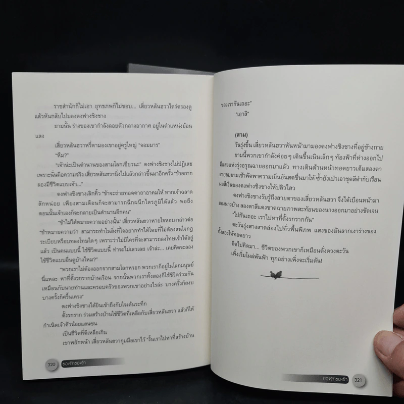 ของรักของข้า 2 เล่มจบ - จิ่วลู่เฟยเซียง (Jiu Lu Fei Xiang) รูปที่ 8