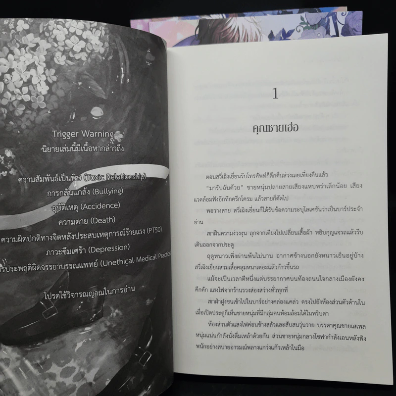 นิยายวาย ในวันที่ตัวสำรองจากไป 4 เล่มจบ - เสียนอวี๋ต้าฉีกวา รูปที่ 6