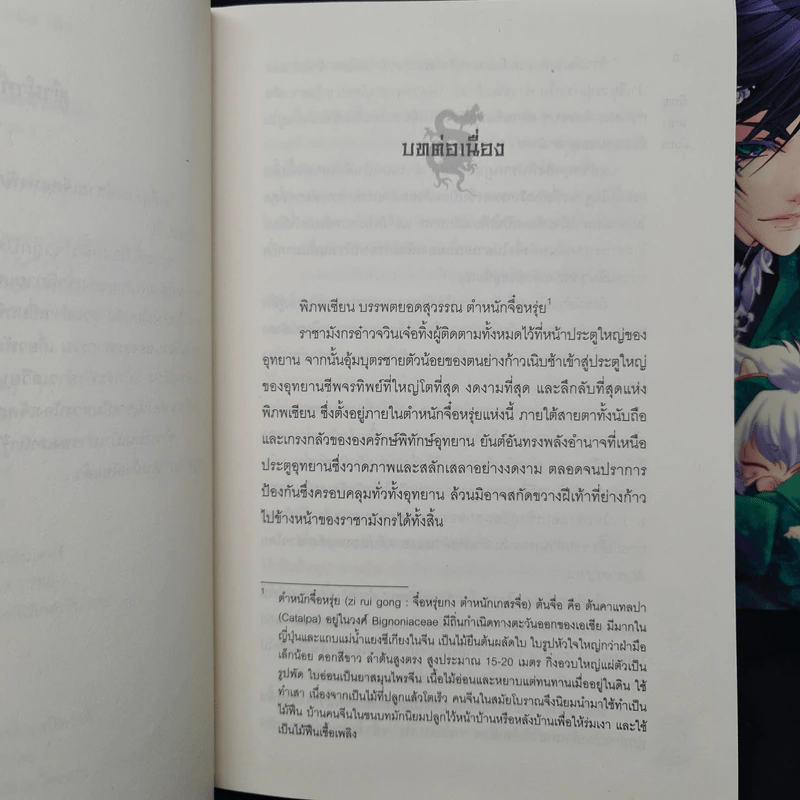พิภพพญามังกร ภาคเงามืด 2 เล่มจบ - ฮัวเสี่ยวเยว่ รูปที่ 6