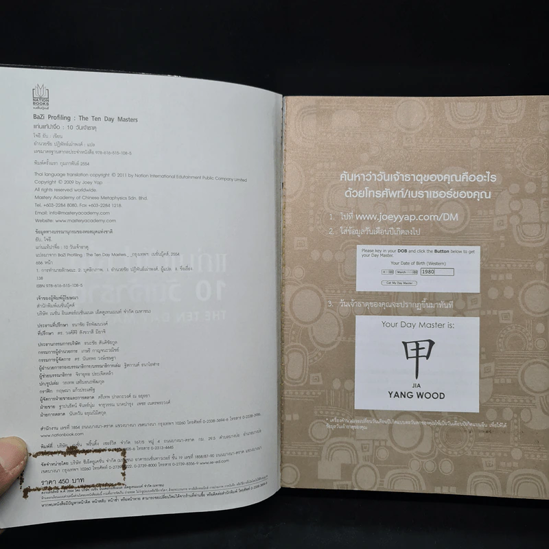 แก่นแท้ปาจื่อ 10 วันเจ้าธาตุ - โจอี ยับ (JOEY YAP) รูปที่ 5