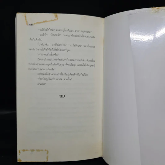 อาร์ทิมิส ฟาวล์ และอาณาจักรที่สาบสูญ - โอเว่น โคลเฟอร์ รูปที่ 8