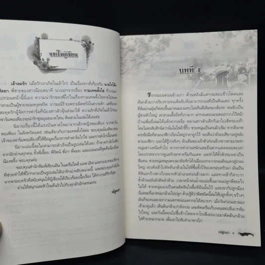 เล้าลมรัก - ณัฐณรา รูปที่ 6
