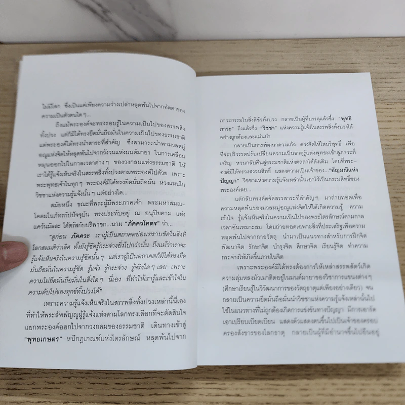 จักรภพแห่งมโนภาพ - อริยะ รูปที่ 6