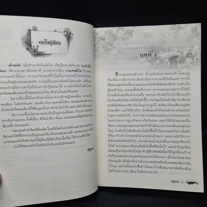 เล้าลมรัก - ณัฐณรา รูปที่ 6
