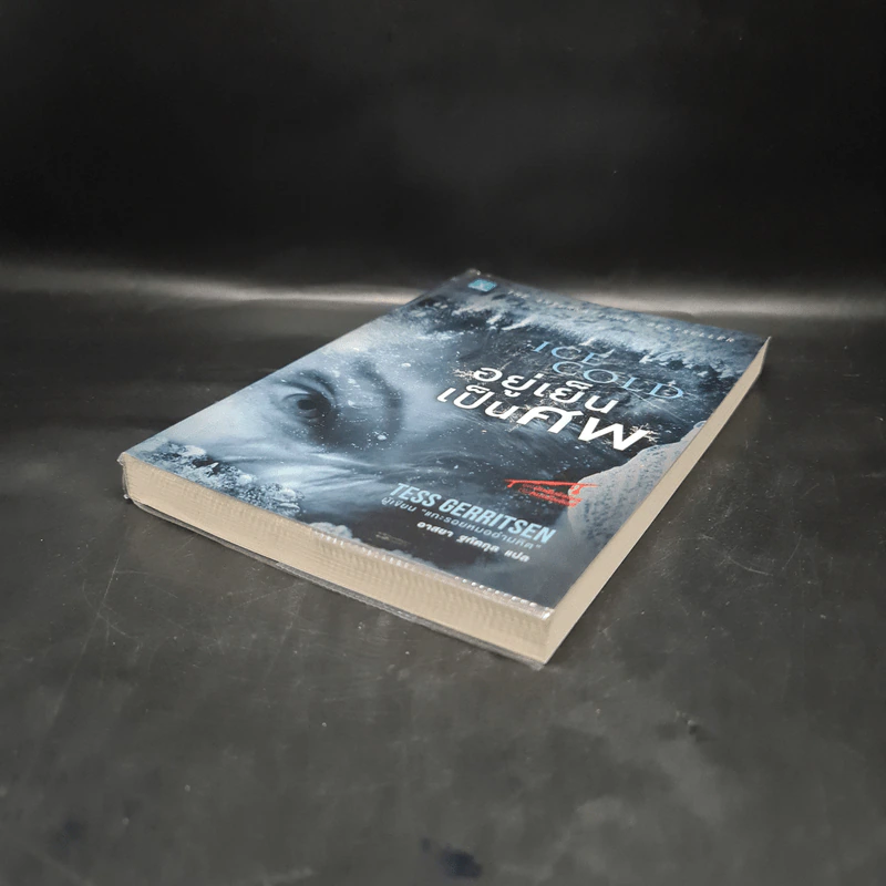 อยู่เย็นเป็นศพ - Tess Gerritsen รูปที่ 4