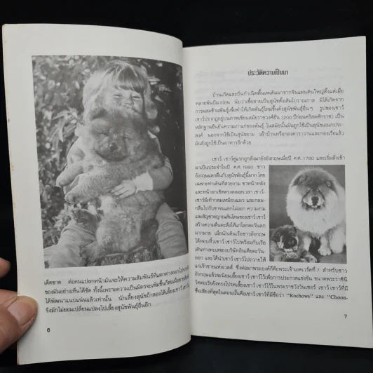 คู่มือการเลี้ยงสุนัข เชาว์ เชาว์ - บัณฑิตย์ สุริยพันธ์ รูปที่ 7