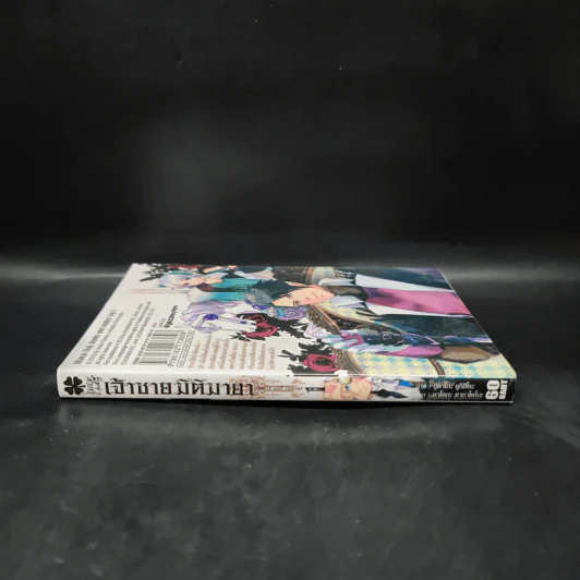 เจ้าชายมิติมายา เล่ม 1 รูปที่ 3