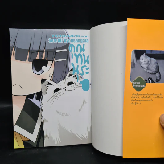 คุณทนนุระ เล่ม 1 รูปที่ 5