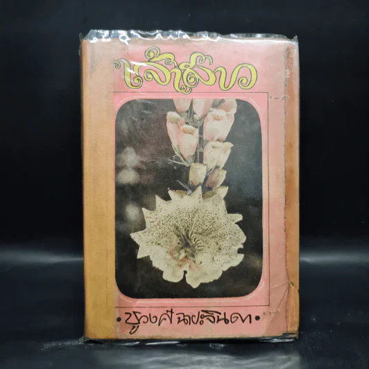 เจ้าสาว - ชูวงศ์ ฉายะจินดา รูปที่ 1