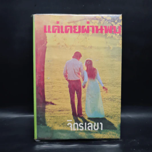 แค่เคยผ่านพบ - จิตรเลขา รูปที่ 1