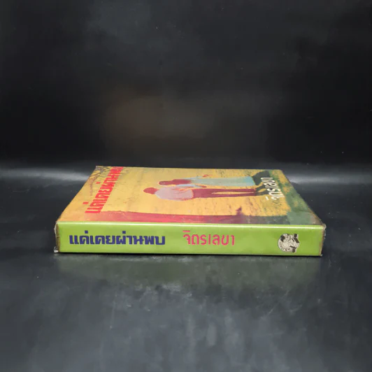 แค่เคยผ่านพบ - จิตรเลขา รูปที่ 3