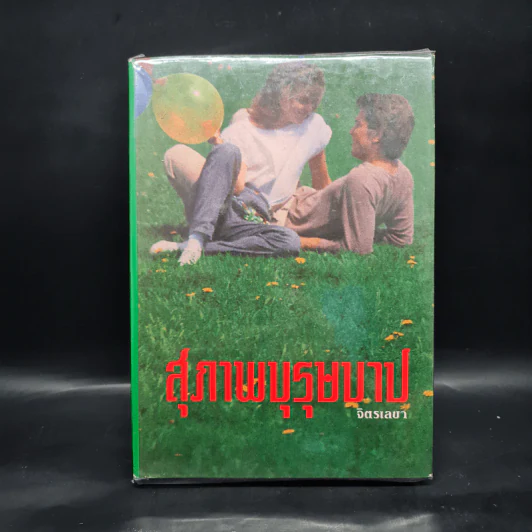 สุภาพบุรุษบาป - จิตรเลขา รูปที่ 1