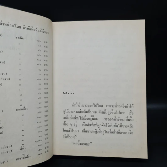 ทรายเหลือบแสง - ช่อลัดา รูปที่ 5