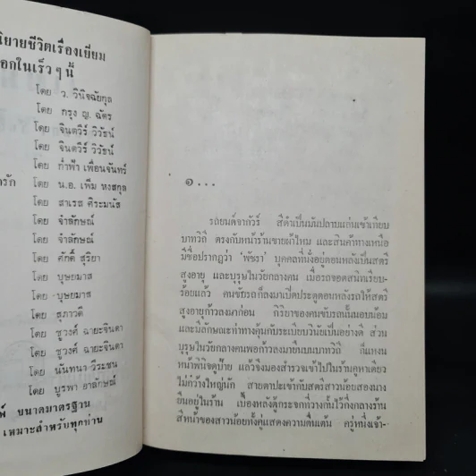 แม่ม่าย - จุลลดา ภักดีภูมินทร์ รูปที่ 5