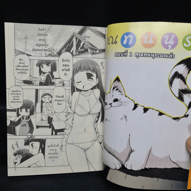 คุณทนนุระ เล่ม 1 รูปที่ 6