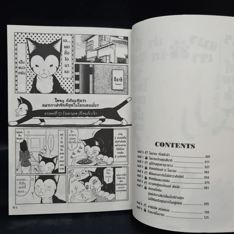 ใครๆก็ต้องคิดว่าแมวเราน่ารักที่สุดในโลกเลยมั้ง? เล่ม 1 รูปที่ 6