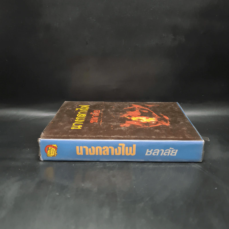 นางกลางไฟ - ชลาลัย รูปที่ 3