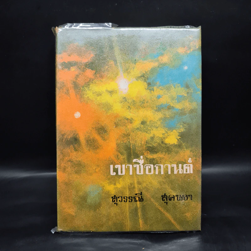 เขาชื่อกานต์ - สุวรรณี สุคนธา รูปที่ 1