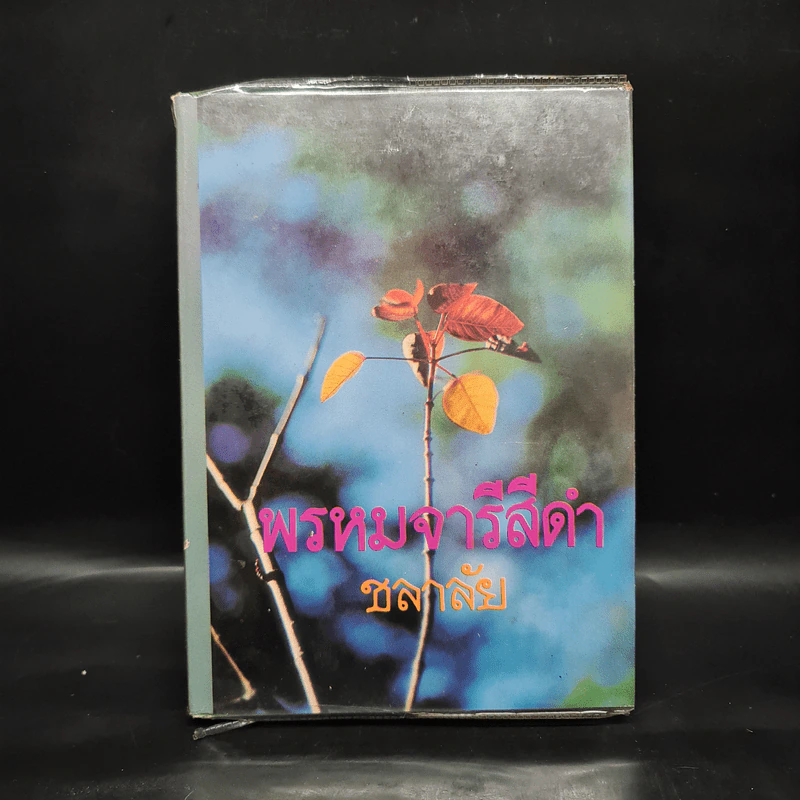 พรหมจารีสีดำ - ชลาลัย รูปที่ 1