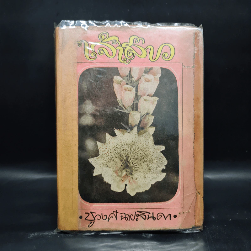 เจ้าสาว - ชูวงศ์ ฉายะจินดา รูปที่ 1