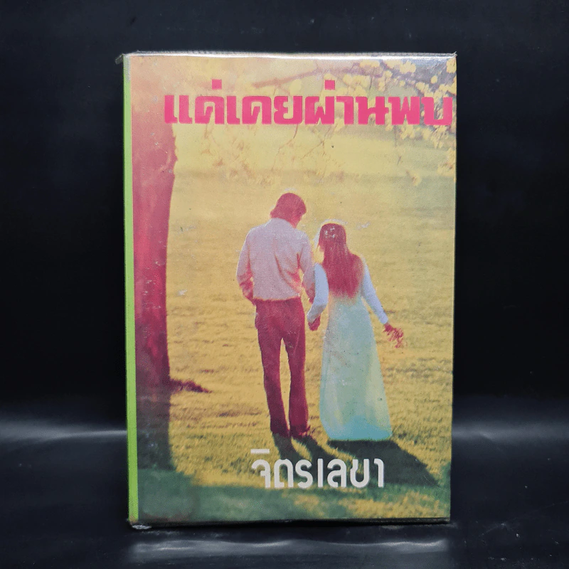 แค่เคยผ่านพบ - จิตรเลขา รูปที่ 1
