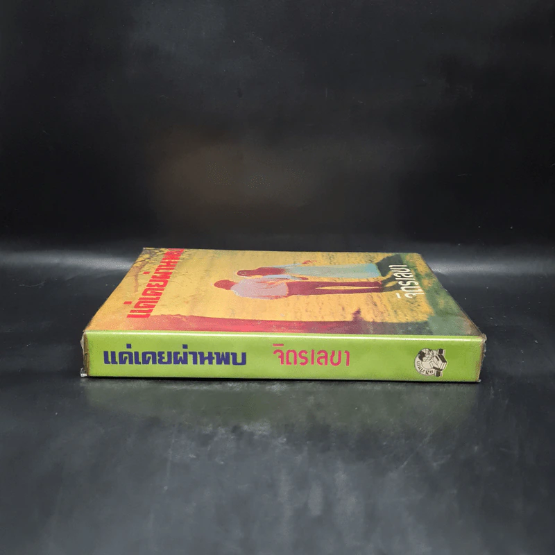 แค่เคยผ่านพบ - จิตรเลขา รูปที่ 3