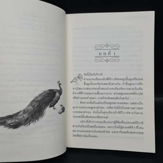 วิวาห์พิทยาธร - อลินา รูปที่ 7