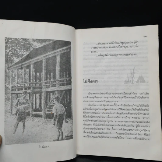 เปิดกรุผีไทย ตอน ขึ้นจากหลุม - เหม เวชกร รูปที่ 8