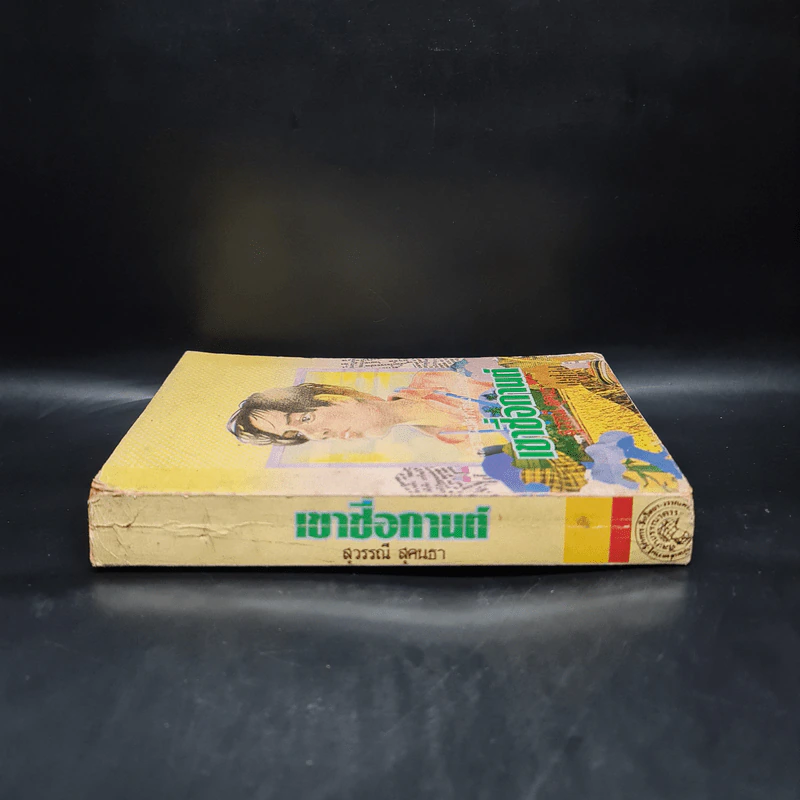 เขาชื่อกานต์ - สุวรรณี สุคนธา รูปที่ 3