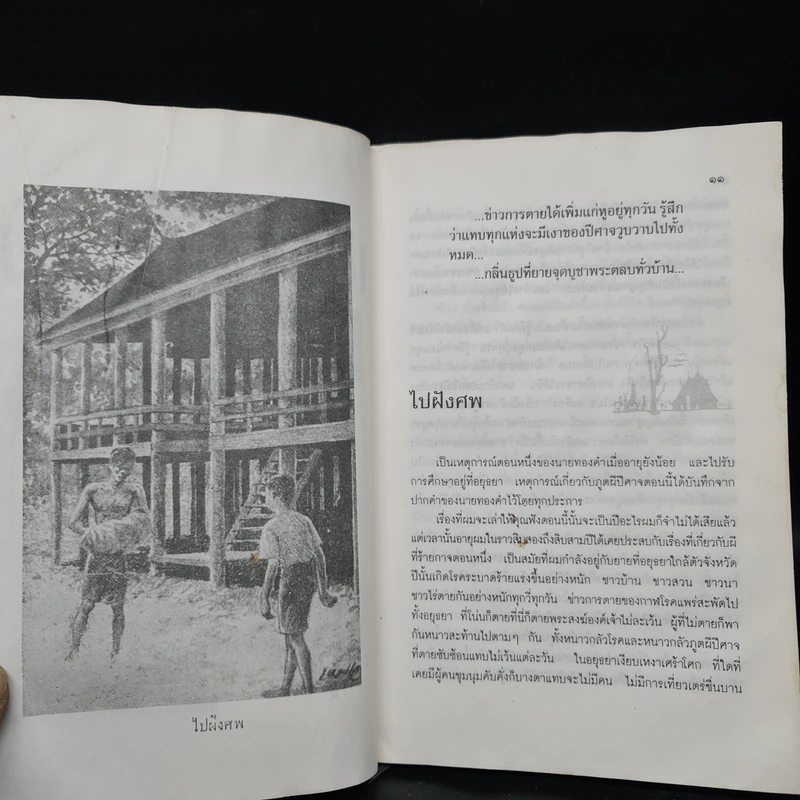เปิดกรุผีไทย ตอน ขึ้นจากหลุม - เหม เวชกร รูปที่ 8
