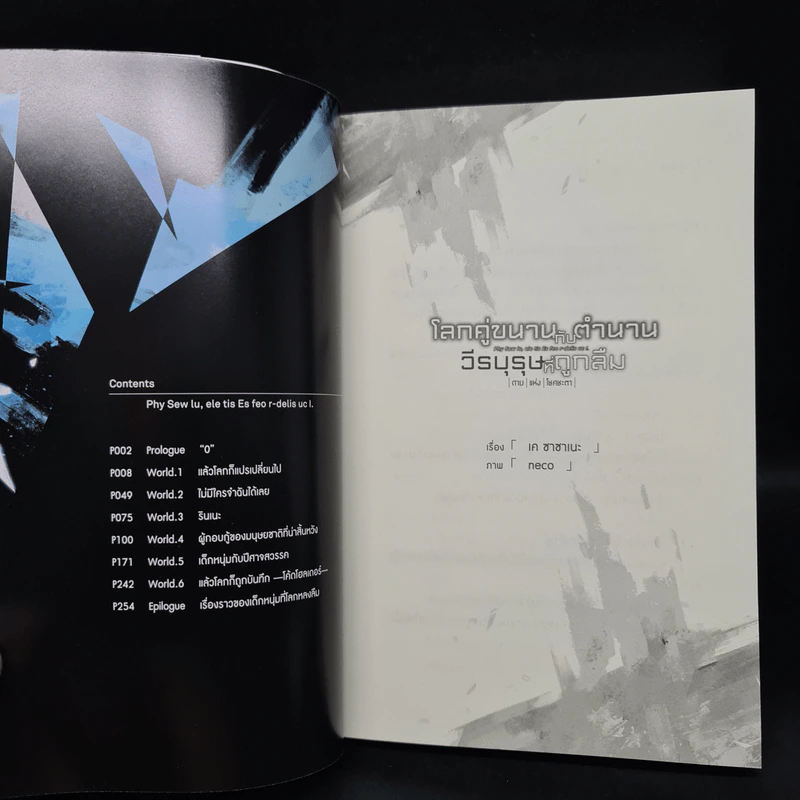 โลกคู่ขนานกับตำนานวีรบุรุษที่ถูกลืม เล่ม 1 รูปที่ 5
