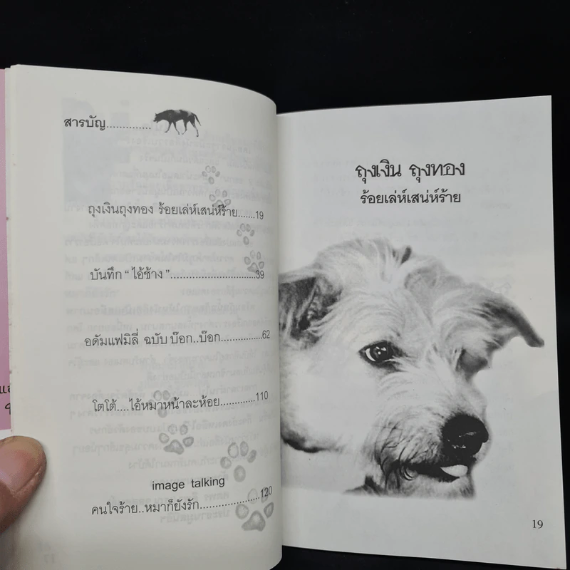 คนใจร้าย ไม่ให้หมากิน หมาก็ยังรัก - ปนัดดา ชัยสวัสดิ์ รูปที่ 7