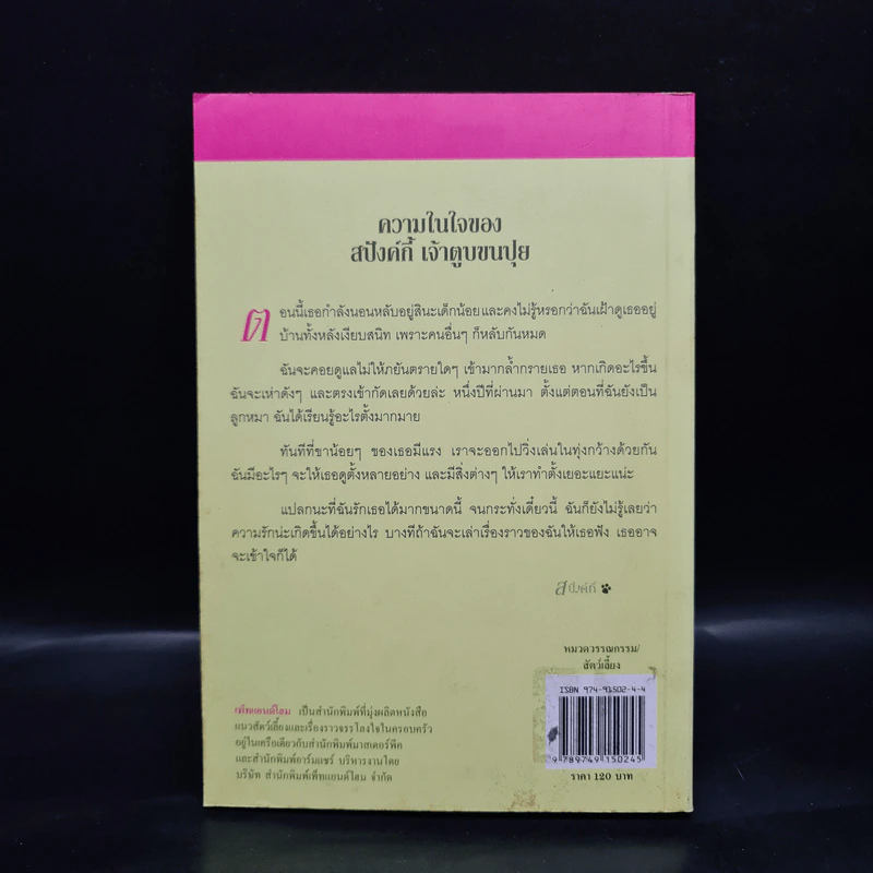 สปังค์กี้ เพื่อนสี่ขาพเนจร - ดอริ บริงค์ รูปที่ 2