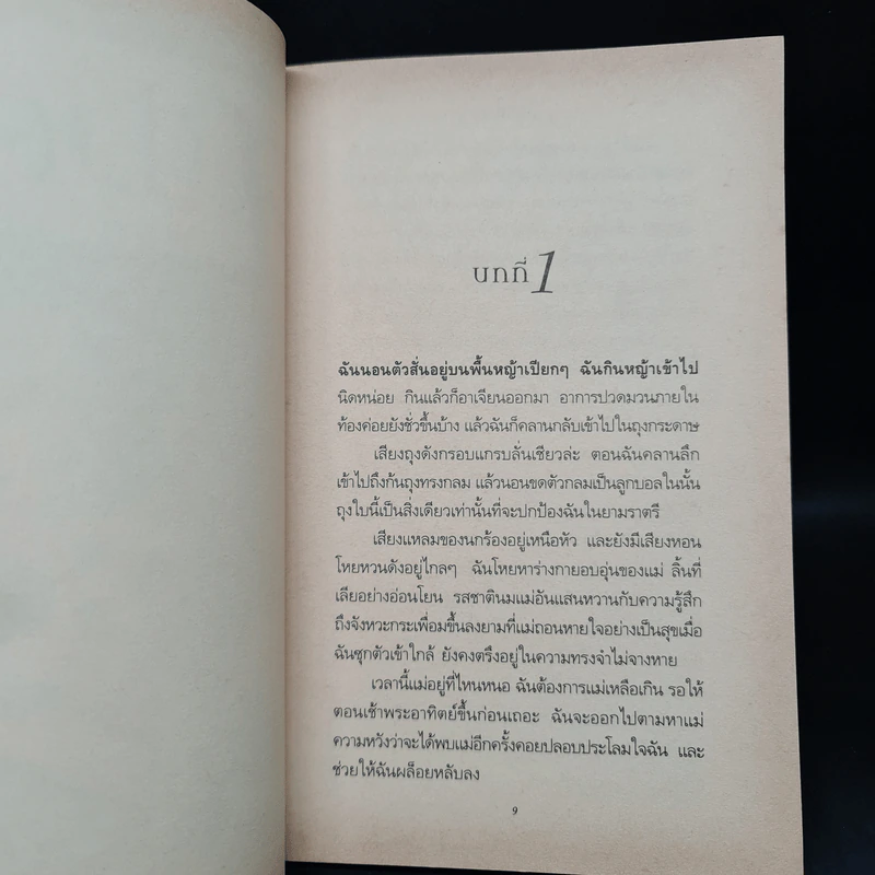 สปังค์กี้ เพื่อนสี่ขาพเนจร - ดอริ บริงค์ รูปที่ 6