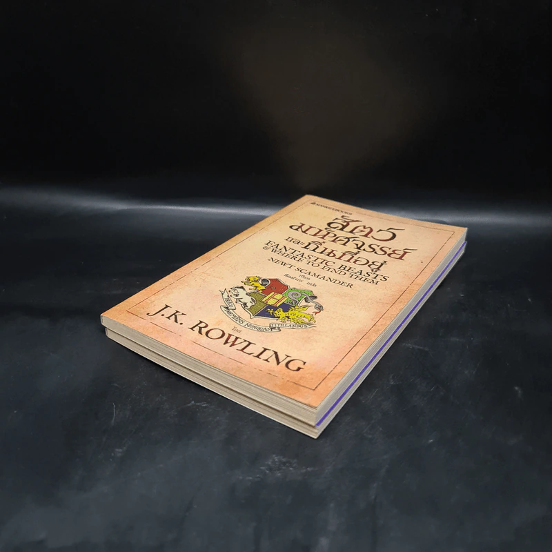 ควิดดิชในยุคต่างๆ + สัตว์มหัศจรรย์และถิ่นที่อยู่ - J.K.Rowling รูปที่ 4