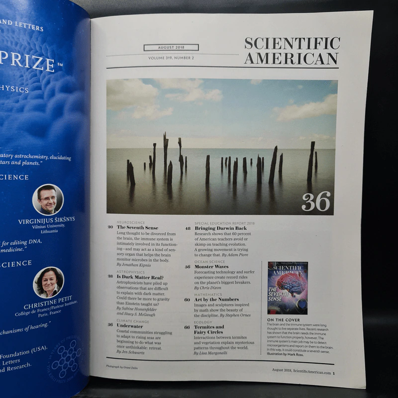 Scientific American Aug 2018 รูปที่ 4