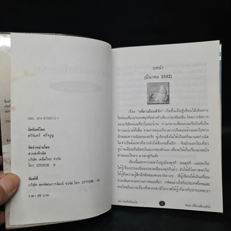 แม่วาดเมียบียอร์น เที่ยวเมืองเติร์ก - จันทร์ ศรีจรูญ แอนเดอร์สัน รูปที่ 5
