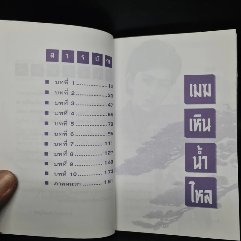 เมฆเหิน น้ำไหล - สมเด็จพระเทพรัตนราชสุดาฯ รูปที่ 6