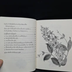 สร้างวาสนา เพิ่มค่าให้อายุ - พระพรหมคุณาภรณ์ (ป.อ.ปยุตโต) รูปที่ 7