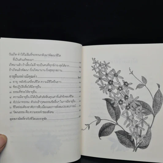 สร้างวาสนา เพิ่มค่าให้อายุ - พระพรหมคุณาภรณ์ (ป.อ.ปยุตโต) รูปที่ 7