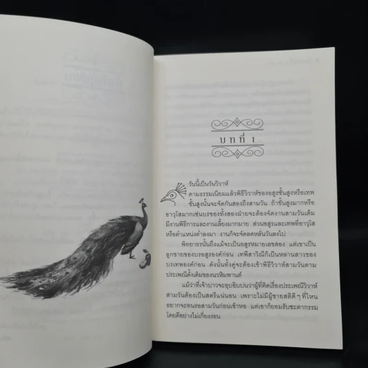 วิวาห์พิทยาธร - อลินา รูปที่ 6