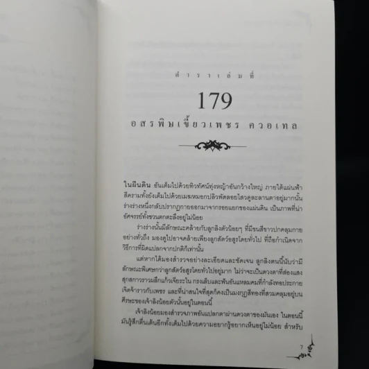 Box Set โลกเวทมนตร์ ของคาออส 5 เล่มจบ - Grimmix รูปที่ 10