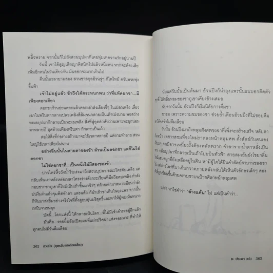 หงสาจอมราชันย์ ภาคพิเศษ เล่ม 1-6 - Wang Yi Xing (หวังอี๋ซิง) รูปที่ 7